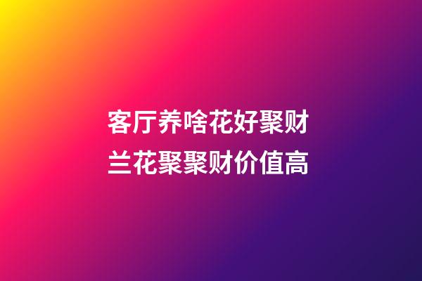 客厅养啥花好聚财 兰花聚聚财价值高